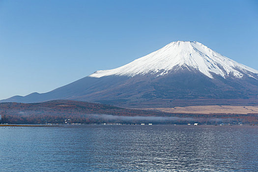 富士山,湖,山梨县