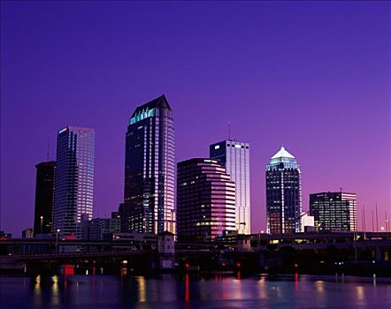 城市天际线,夜景,坦帕,佛罗里达,美国