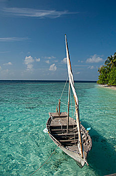马尔代夫,北方,马累环礁,岛屿,传统,船,正面,手掌,排列,白沙滩