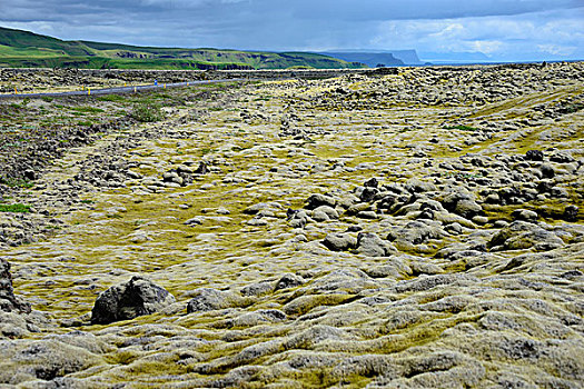 火山岩,苔藓,熔岩原,冰岛,欧洲