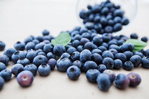 新鲜,蓝莓,水果,抗氧化,食物