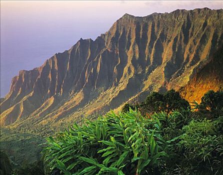 暸望,风景,岛屿,考艾岛,夏威夷