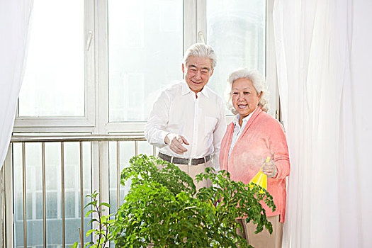一對(duì)老年夫婦