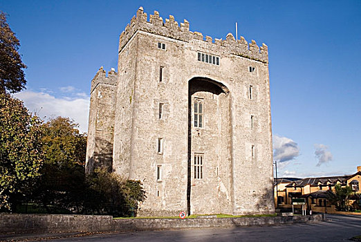 爱尔兰,15世纪,城堡