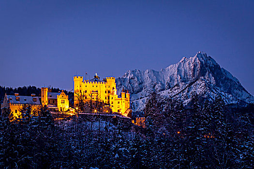 早晨,旧天鹅堡,城堡,山,巴伐利亚,靠近,德国