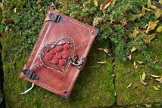 日记,红色,皮革,封面,锁,装饰,花园