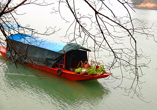 广西全州江南水乡,农村大娘乘着船儿去卖菜