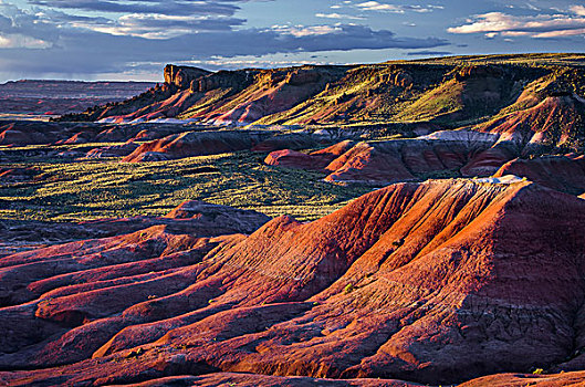 红色,涂绘,荒芜,石化森林国家公园,亚利桑那