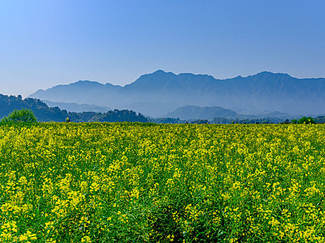 田园风光