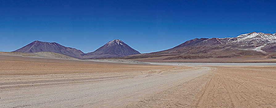 赛道,高原,火山,动物,波托西地区,玻利维亚,南美