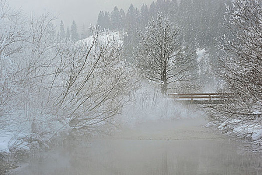 小,木桥,河流,场地,冬天,高山地区,雾,站立,水