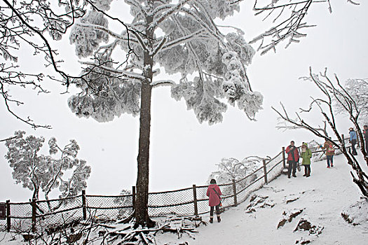 四川,峨眉山,冰雪雾凇,徐学哲摄影,尼康,年月