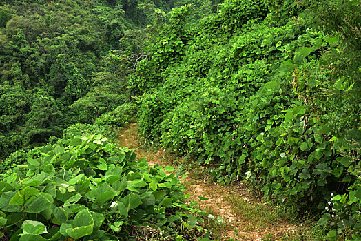 河北省石家庄平山县藤龙山风景区