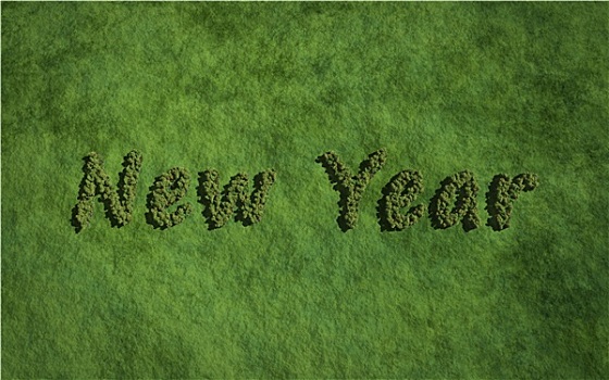 新年,文字,树,草,背景