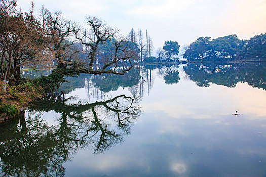 桥,亭子,倒影,水,水面