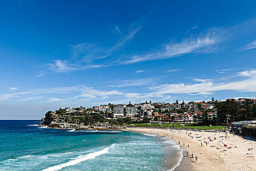 风景,海滩,悉尼