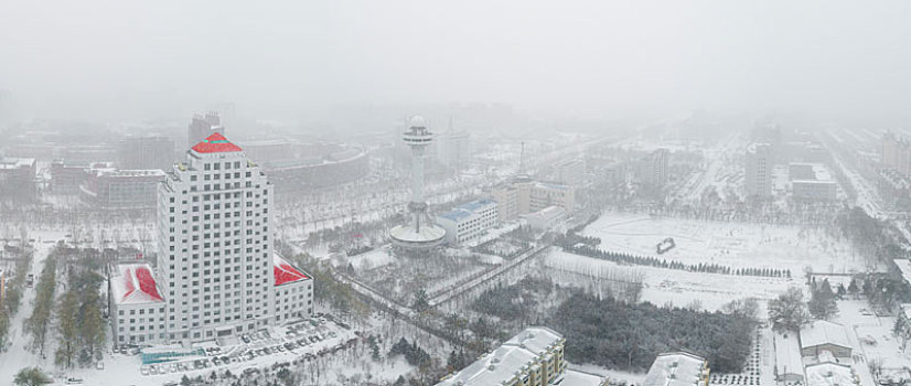 城市雪景,冬季的雪景