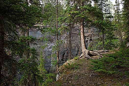 峡谷,碧玉国家公园,艾伯塔省,加拿大