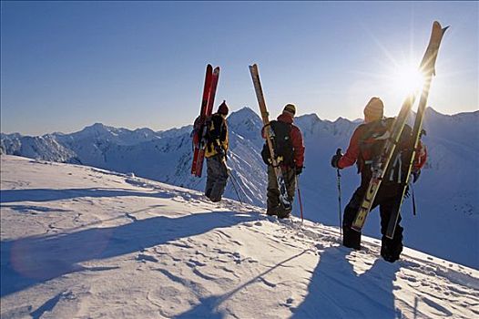 极限,滑雪者,站立,山脊,远眺,特纳甘湾,楚加,太阳,阿拉斯加,冬天