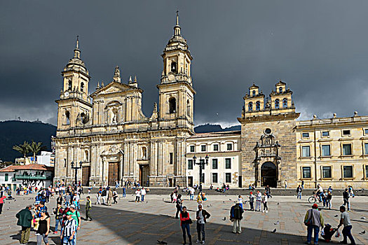 哥伦比亚,大教堂,广场,波哥大,南美