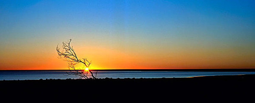 日落,盐湖,中心,西北地区,澳大利亚