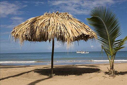 遮阳伞,干盐湖,麦地那,海滩,委内瑞拉,加勒比海,南美