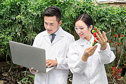 正在大棚里进行科学研究的青年男女