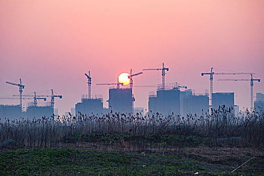 高楼,户外,菜地,城市化,郊区