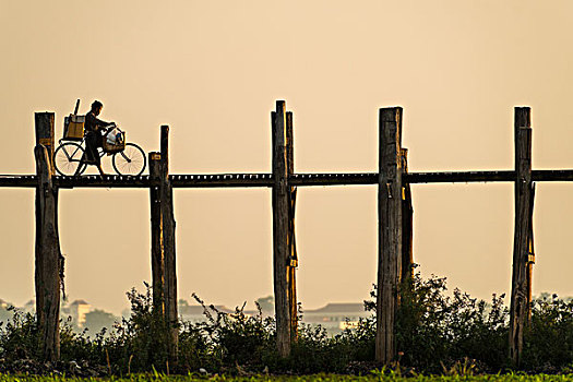 男人,自行车,走,柚木,桥,乌本桥,湖,晚上,亮光,阿马拉布拉,曼德勒省,缅甸,亚洲