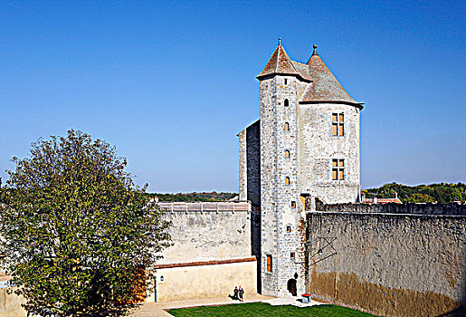 法国,旅游,城堡,塔