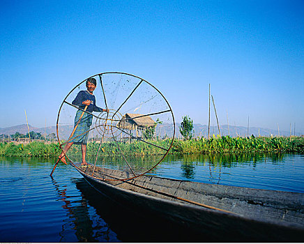 男人,茵莱湖,缅甸