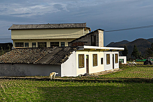 花溪高坡