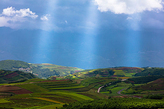 东川红土地的光,景,人