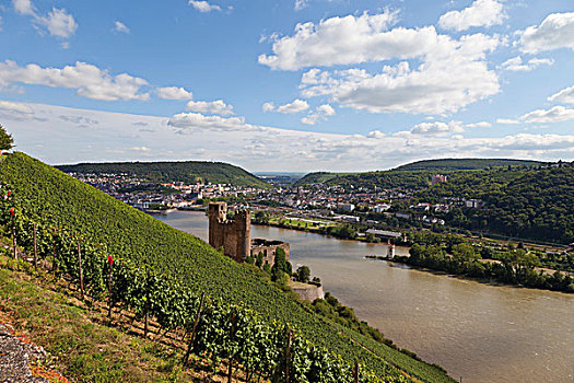 城堡,塔,莱茵河,靠近,世界遗产,莱茵河中游,山谷,黑森州,德国,欧洲