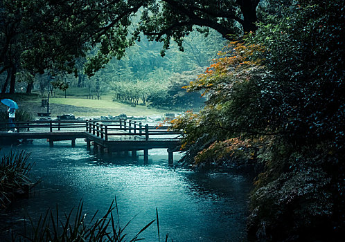 雨中的太子湾公园