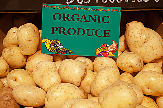 土豆,标识,标示,有机,农产品,滑铁卢,魁北克,加拿大
