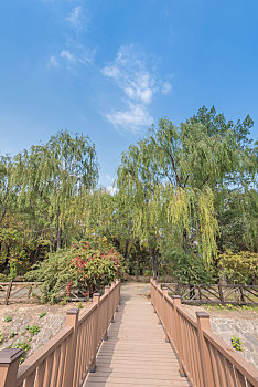 秋季中国沈阳公园树林木桥道路游廊池塘