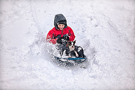 男孩,滑雪橇,波士顿犬,小狗,积雪,山,微笑