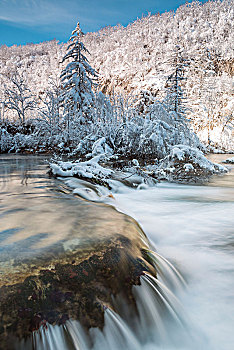 晶莹,水,十六湖国家公园,冬天,克罗地亚