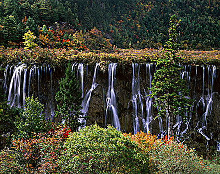 四川九寨沟诺日朗瀑布