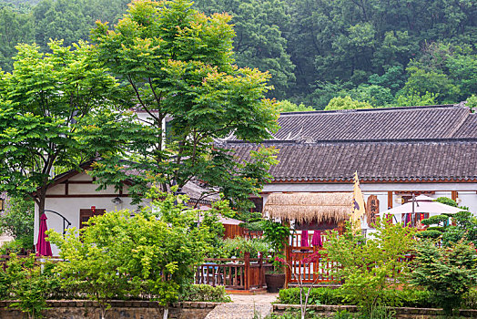 南京不老村风景