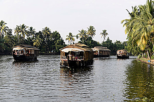 船屋,死水,靠近,喀拉拉,印度南部,印度,亚洲