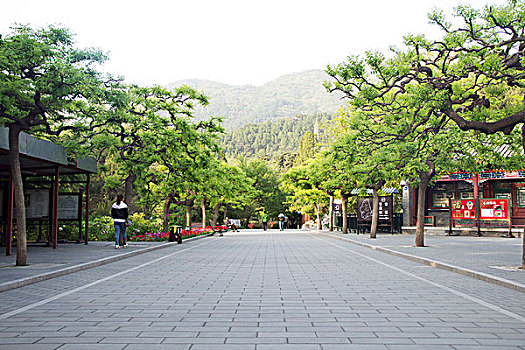 香山道路石板路公园