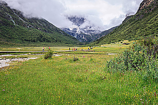 高山草甸风光