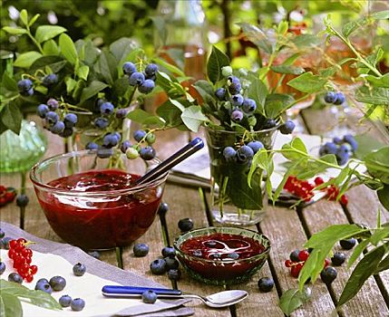 蓝莓,红浆果,蜜饯
