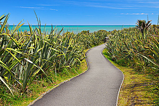 小路,薄烤饼,石头,西海岸,南岛,新西兰