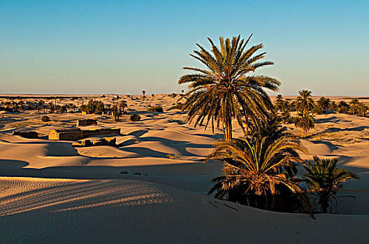 北非,突尼斯,省,困住,沙子