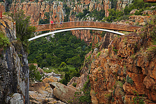 旅游,步行桥,河,幸运,布莱德河峡谷,自然保护区,靠近,普玛兰加省,南非