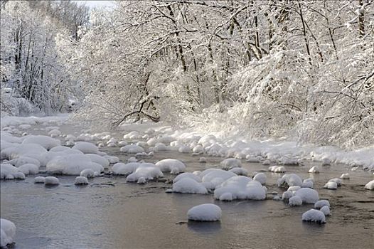 冬天,雪,河,靠近,泰根湖,湖,巴伐利亚,德国,欧洲