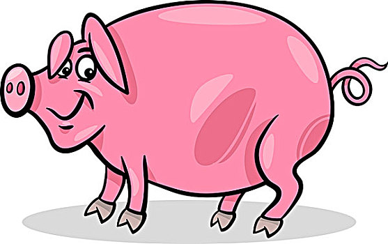 猪,家畜,卡通,插画